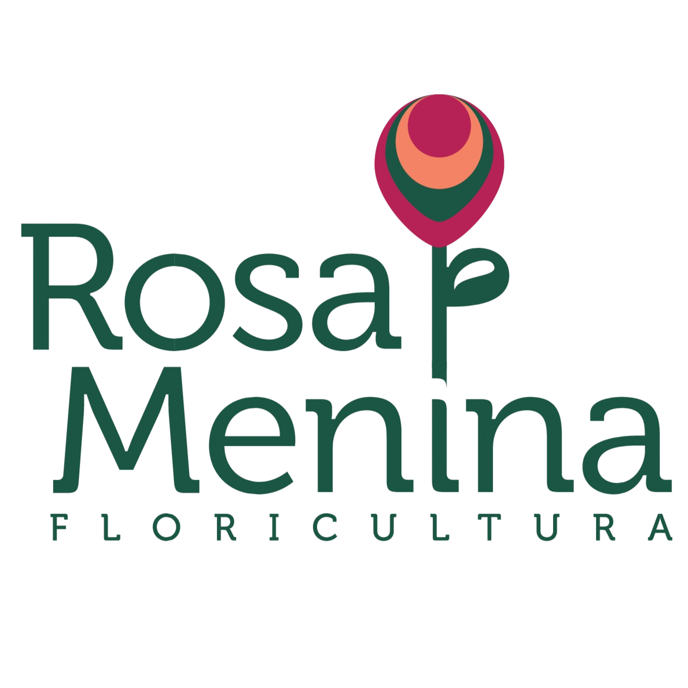 Floricultura rosa menina 